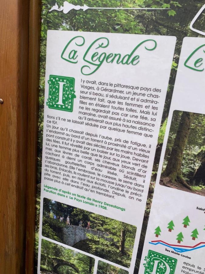 Charmant Appartement A Gérardmer Kültér fotó
